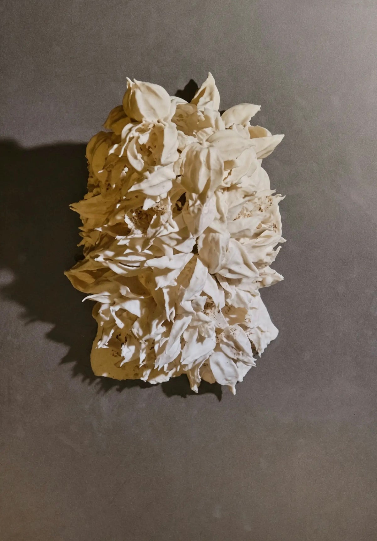 Inmortal I (Francisco Valdeavellano)