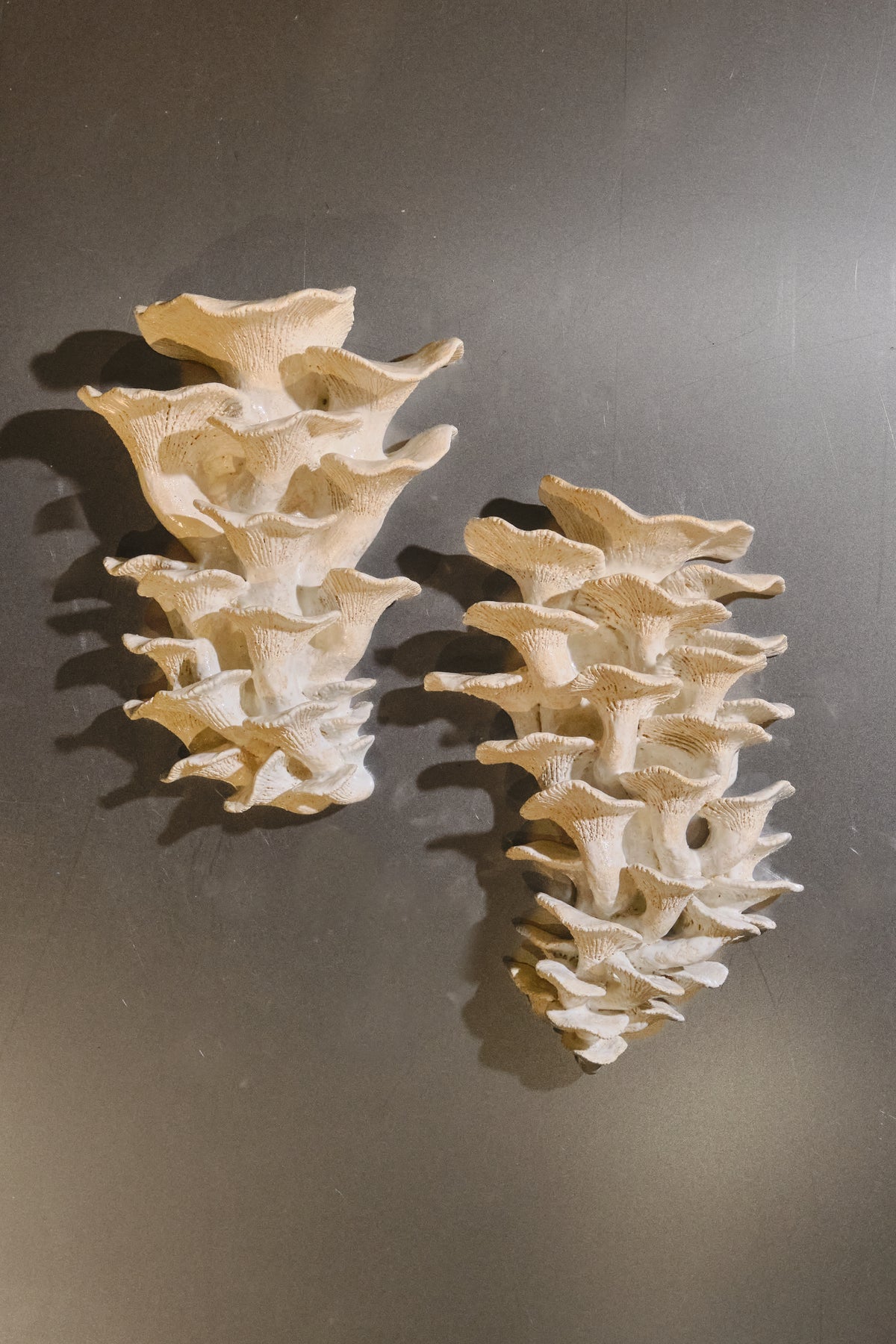 Piezas de un pantano II (Paloma Espinoza Fierro)