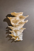 Piezas de un pantano II (Paloma Espinoza Fierro)