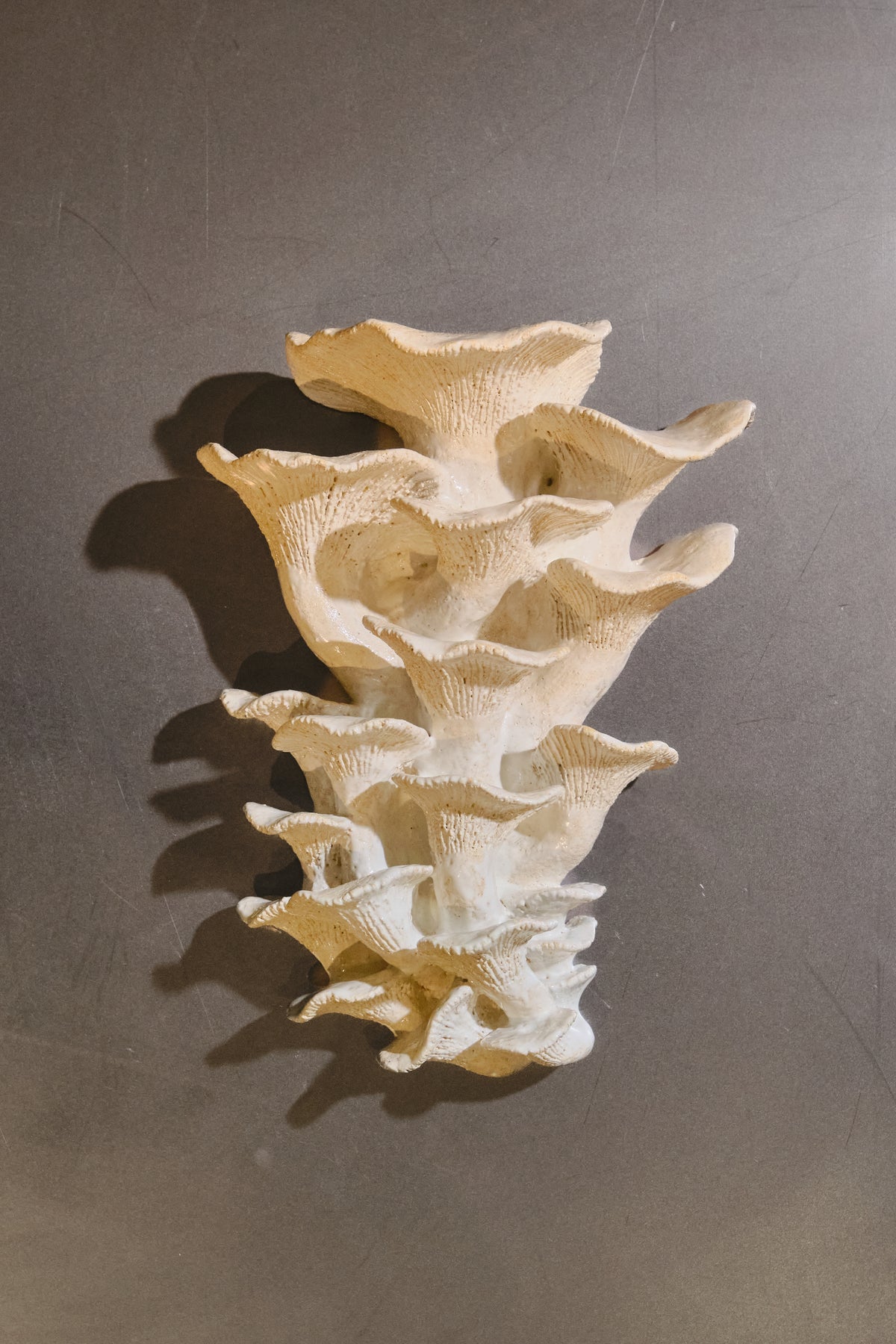 Piezas de un pantano II (Paloma Espinoza Fierro)