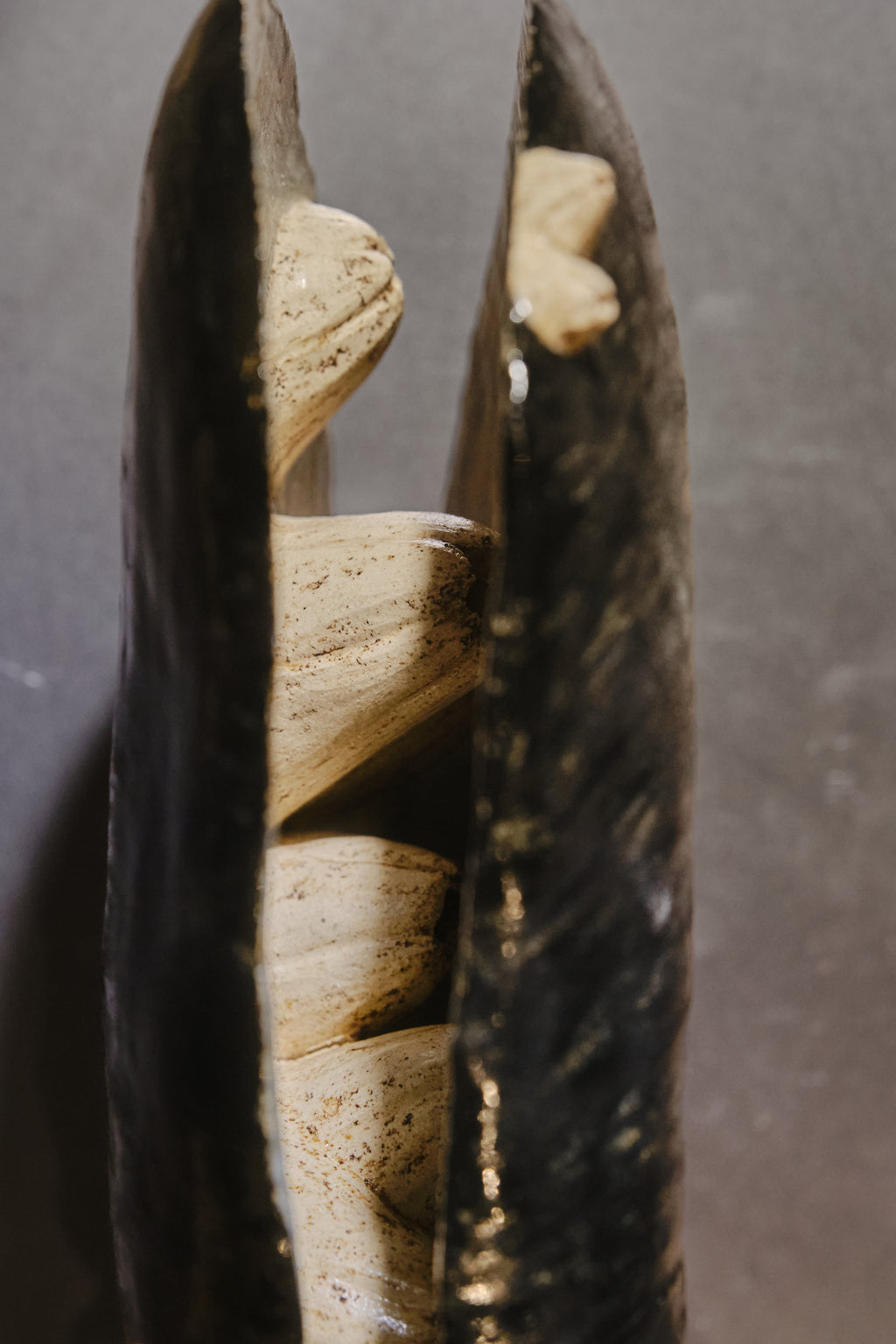 Pétalos de mar I (Raquel Cancino)