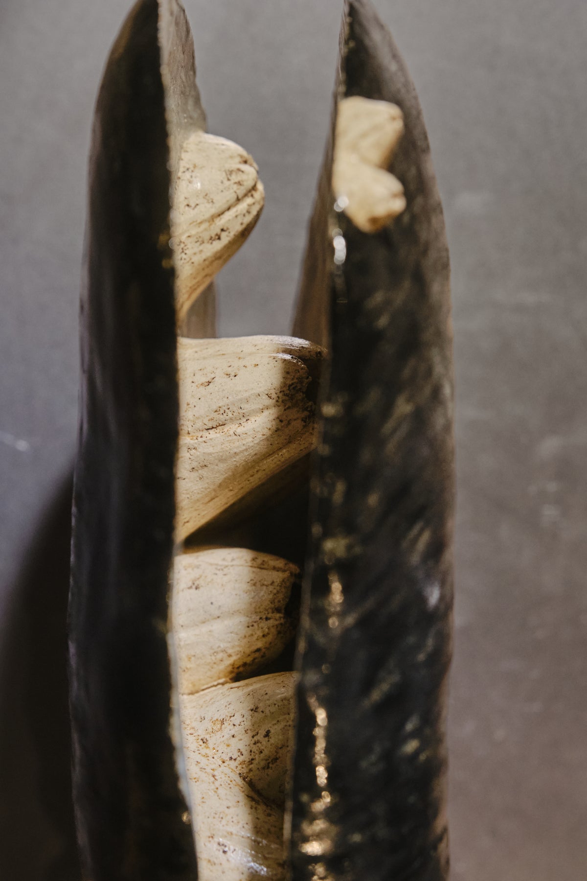 Pétalos de mar I (Raquel Cancino)
