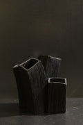 Devenir del Peumo (Marycarmen Santos)