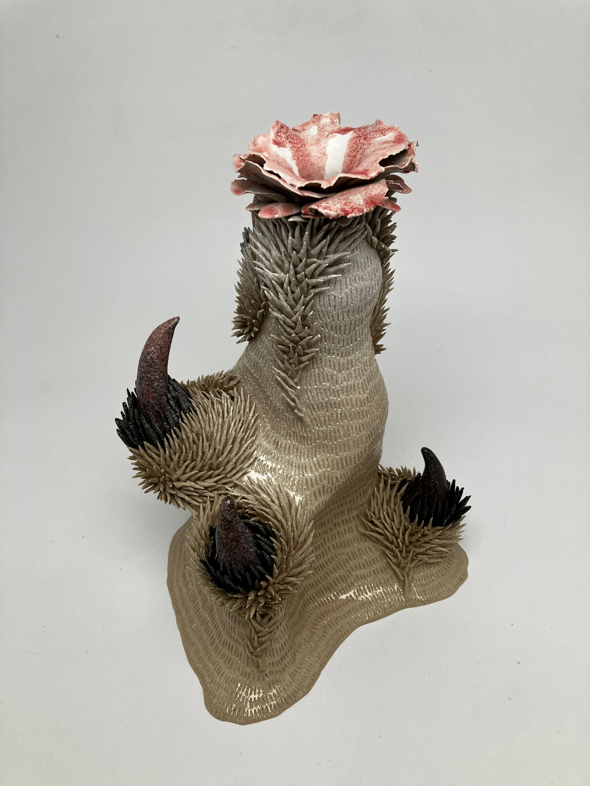 Thistle/Distel II (Holly O’Meehan)