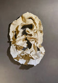 Gres porcelana I (Neida Zambrano Sanchéz)