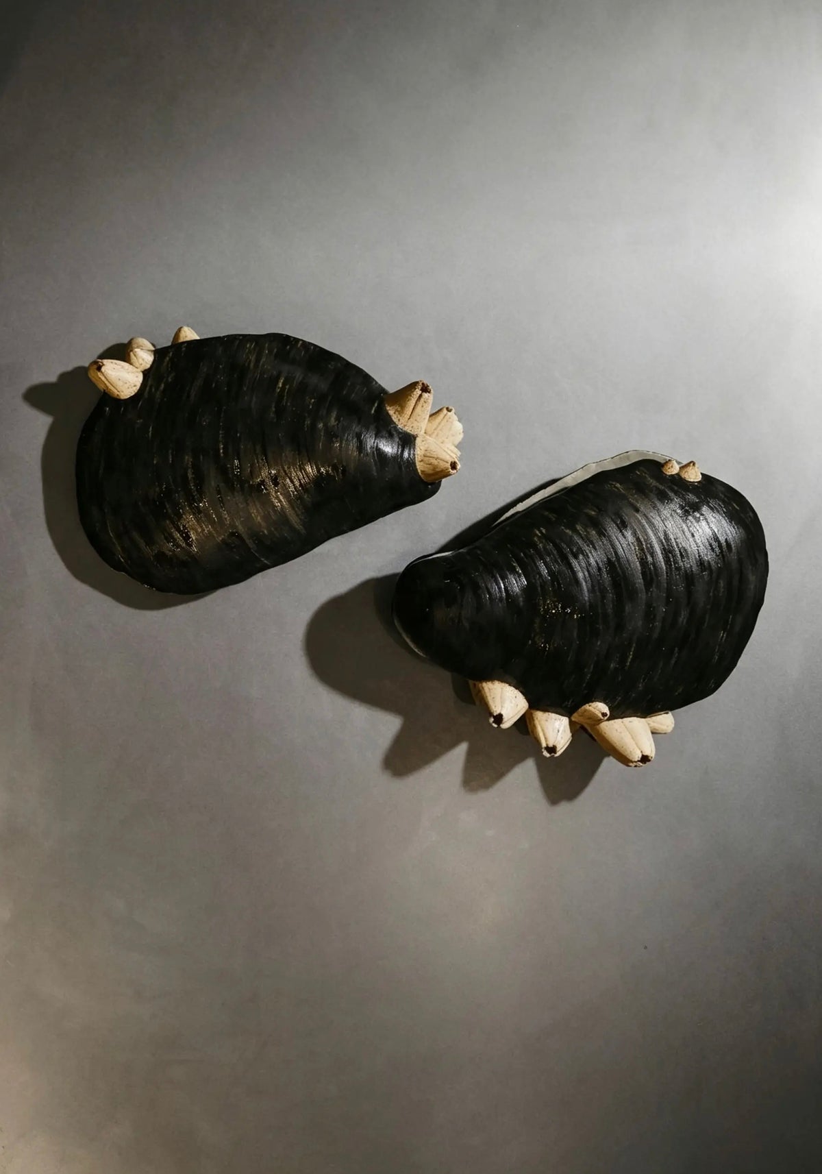 Pétalos de mar I (Raquel Cancino)