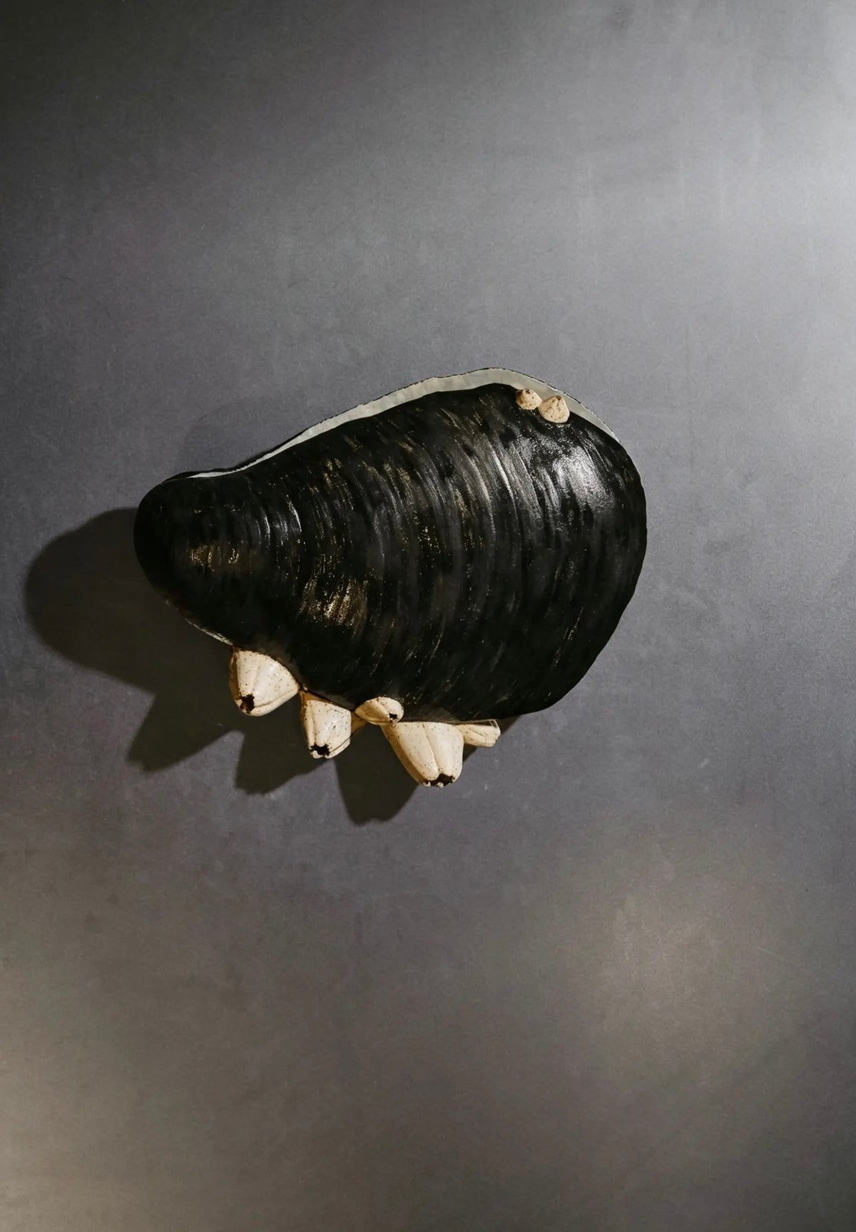 Pétalos de mar I (Raquel Cancino)
